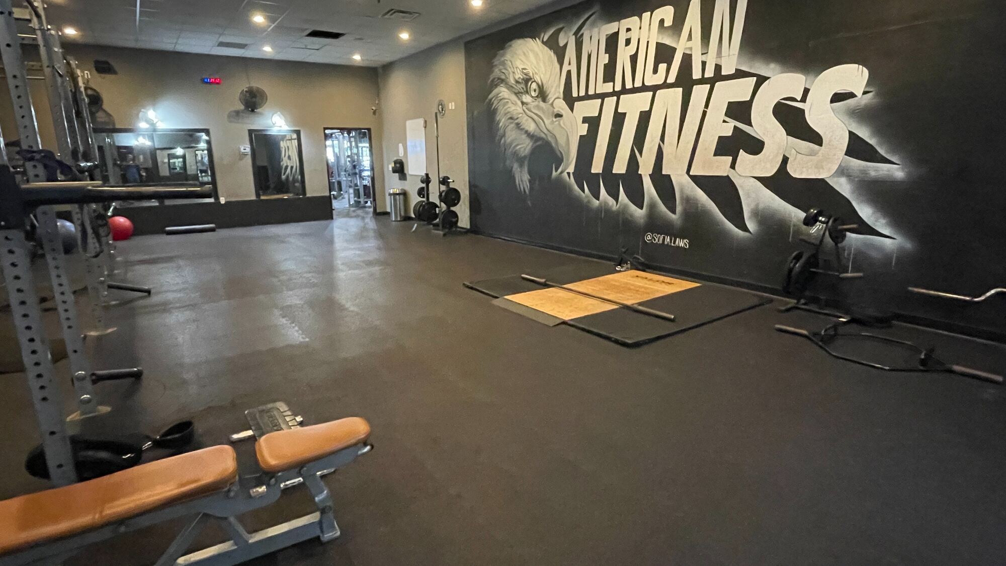 American Fitness eagle mural and strength training area